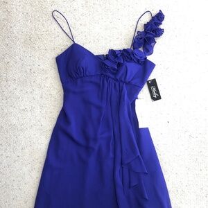 ADRIANNA PAPELL HAILEY Royal Blue Cocktail Dress Size 8